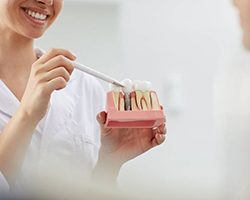 Enfield implant dentist explaining how dental implants work